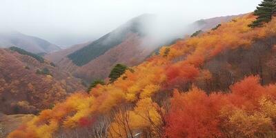 freedom epic unity tranquility grace landscape zen harmony rest calmness unity harmony photography photo