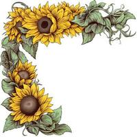 sunflower frame greeting card scrapbooking watercolor gentle illustration border wedding photo