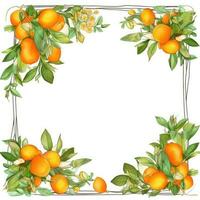 oranges Floral frame greeting card scrapbooking watercolor gentle illustration border wedding photo