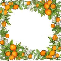 oranges Floral frame greeting card scrapbooking watercolor gentle illustration border wedding photo