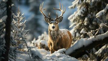 A Majestic Horned Fallow Deer Buck in the Wintery Wilderness. Generative AI. photo