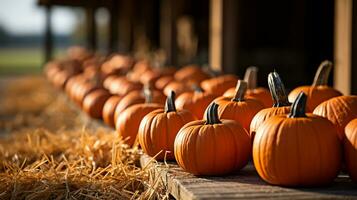 Dozens of orange fall and Halloween pumpkins and hay decorating the country barn scene - generative AI. photo