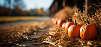 docenas de naranja otoño y Víspera de Todos los Santos calabazas y heno decorando el país granero escena - generativo ai. foto