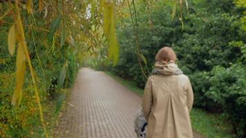 Mum with baby having a walk outside on autumn day video