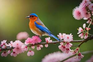 un azul y naranja pájaro se sienta en un rama de un árbol con rosado flores generado por ai foto