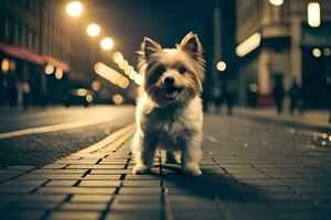 a small dog standing on a brick road at night. AI-Generated photo