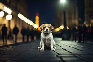 un perro sentado en el suelo en un ciudad a noche. generado por ai foto