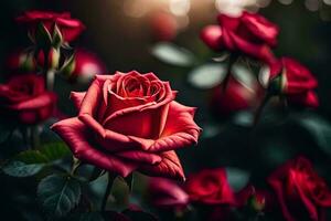 red roses are blooming in the dark. AI-Generated photo