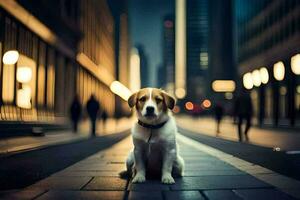 un perro sentado en el calle en un ciudad a noche. generado por ai foto