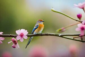 a blue and orange bird sits on a branch with pink flowers. AI-Generated photo