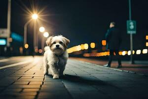 un perro caminando en un calle a noche. generado por ai foto
