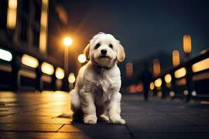 a white dog sitting on the sidewalk at night. AI-Generated photo