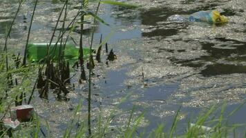 acqua inquinamento - palmare tiro video