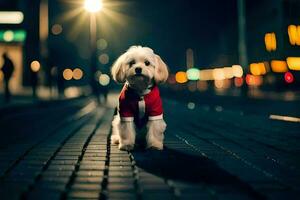 a small white dog wearing a red shirt on a street at night. AI-Generated photo