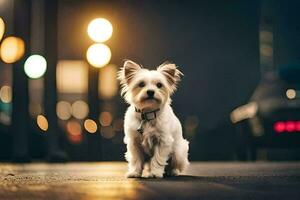 a small white dog is standing on the street at night. AI-Generated photo