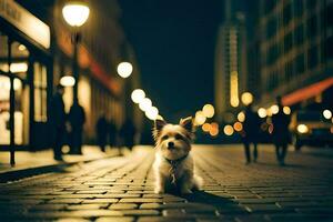 un pequeño perro es en pie en un guijarro calle a noche. generado por ai foto