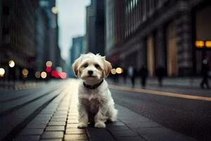un pequeño blanco perro sentado en el calle en un ciudad. generado por ai foto