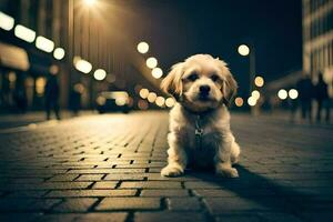 a dog sitting on the street at night. AI-Generated photo