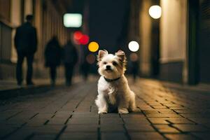 a small white dog sitting on the street at night. AI-Generated photo