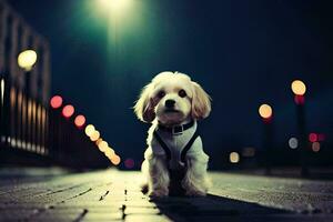 a small dog sitting on a sidewalk at night. AI-Generated photo