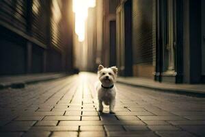 a small white dog is walking down a street. AI-Generated photo