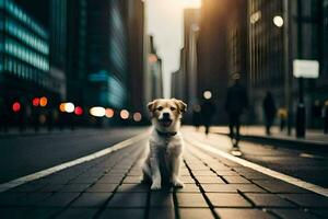 un perro sentado en el calle en un ciudad. generado por ai foto