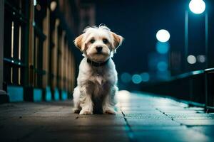 a small dog sitting on the sidewalk at night. AI-Generated photo