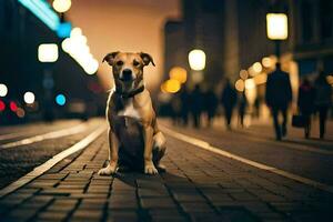 a dog sitting on the street at night. AI-Generated photo