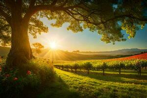 the sun rises over a vineyard in the new zealand countryside. AI-Generated photo