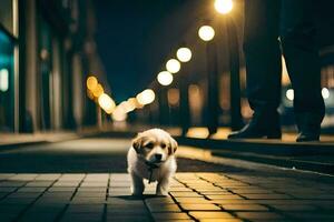 a puppy walking on a street at night. AI-Generated photo