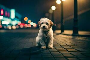 a dog sitting on the street at night. AI-Generated photo