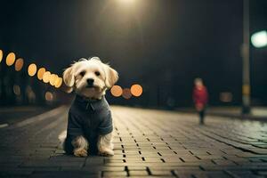 un pequeño perro sentado en un ladrillo la carretera a noche. generado por ai foto