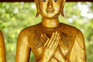 Closeup and crop front view of old and golden Buddha statue in muse action photo