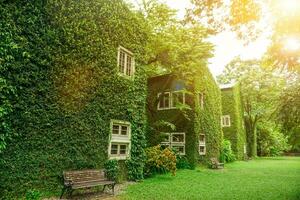 Perspective and outdoor view of house covered by vines and green plants on bright blue sky with sun and lens flare background. photo