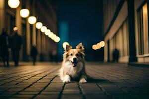 a dog sitting on the street at night. AI-Generated photo