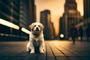 a dog sitting on the ground in a city. AI-Generated photo