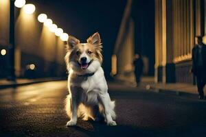 a dog sitting on the street at night. AI-Generated photo