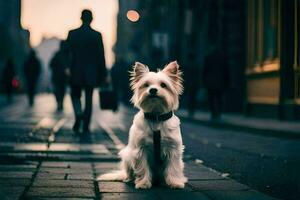 a small white dog sitting on the sidewalk. AI-Generated photo