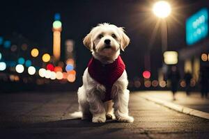 a dog wearing a red vest sitting on the street at night. AI-Generated photo