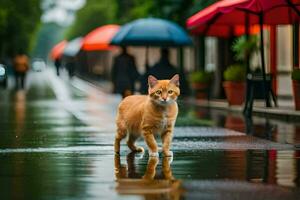 un naranja gato caminando en el lluvia en un mojado calle. generado por ai foto