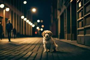 un perro sentado en el calle a noche. generado por ai foto