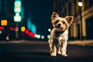 un pequeño perro en pie en el calle a noche. generado por ai foto