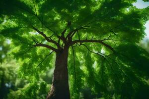 un árbol es mostrado en el luz de sol con verde hojas. generado por ai foto