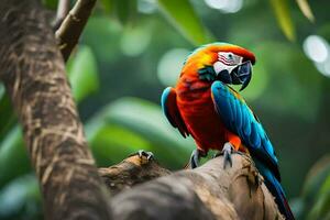 a colorful parrot sitting on a branch. AI-Generated photo