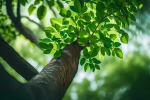 a tree with green leaves and sunlight. AI-Generated photo