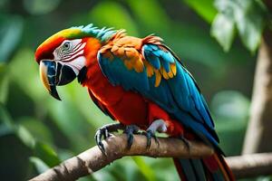 a colorful parrot sits on a branch. AI-Generated photo