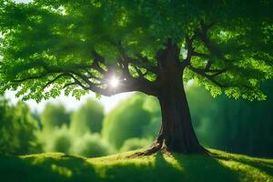 un árbol es mostrado en el luz de sol con verde hojas. generado por ai foto