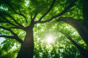 photo wallpaper the sky, trees, sunlight, the sun, trees, green, the trees,. AI-Generated
