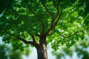 un árbol es mostrado en el primer plano con verde hojas. generado por ai foto