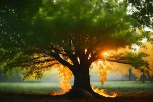 foto fondo de pantalla el cielo, árbol, fuego, el sol, el árbol, el sol, el. generado por ai